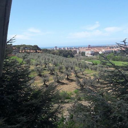 Dolci Ricordi Lägenhet Livorno Exteriör bild